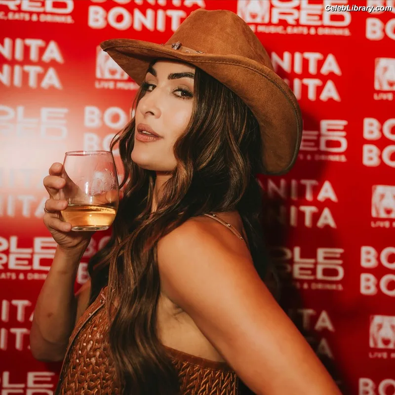 The Bella Twins photo 14 of 1421