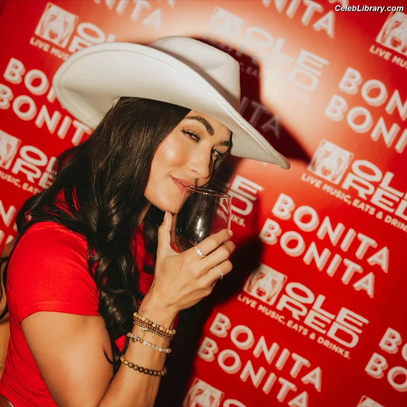 The Bella Twins photo 15 of 1421