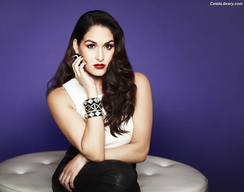 The Bella Twins photo 6 of 1421