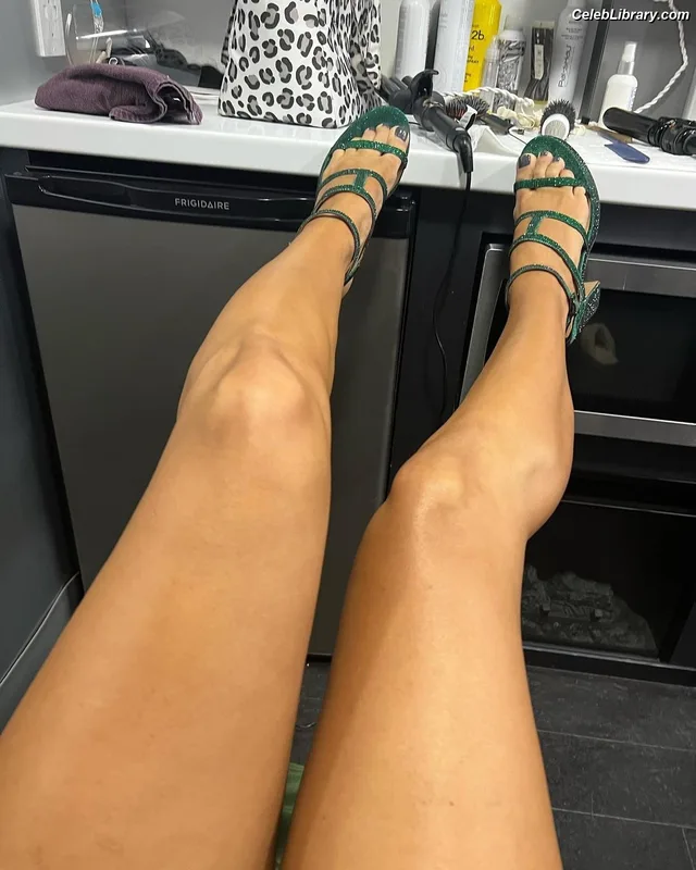 The Bella Twins photo 17 of 1421