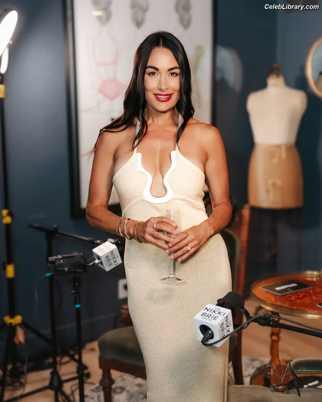 The Bella Twins photo 19 of 1421