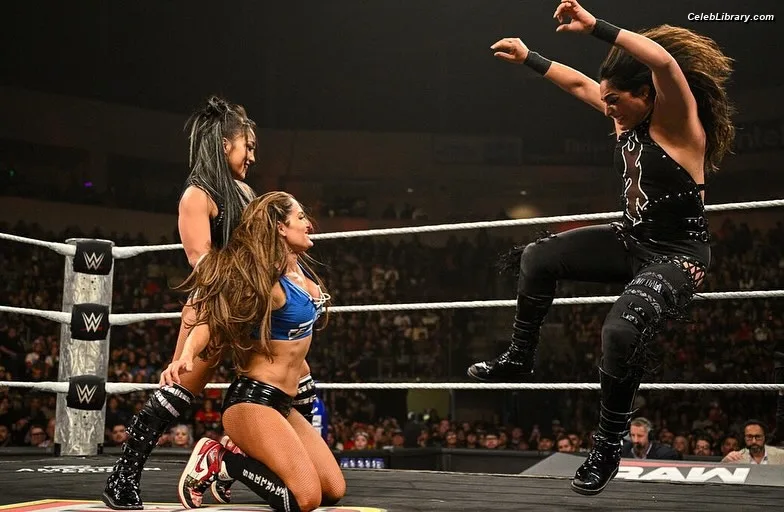 The Bella Twins photo 23 of 1421