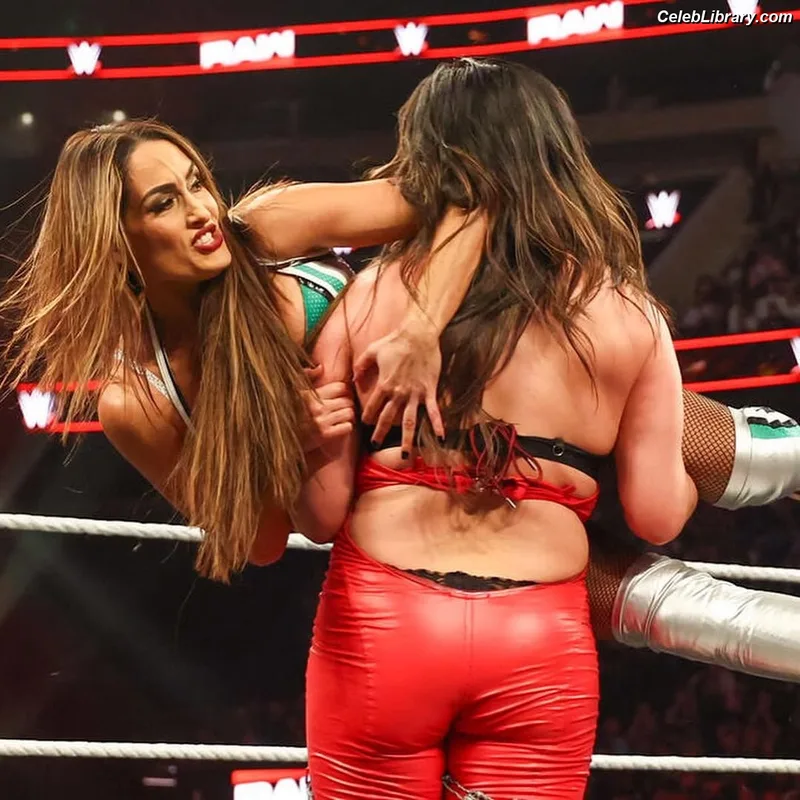 The Bella Twins photo 24 of 1421