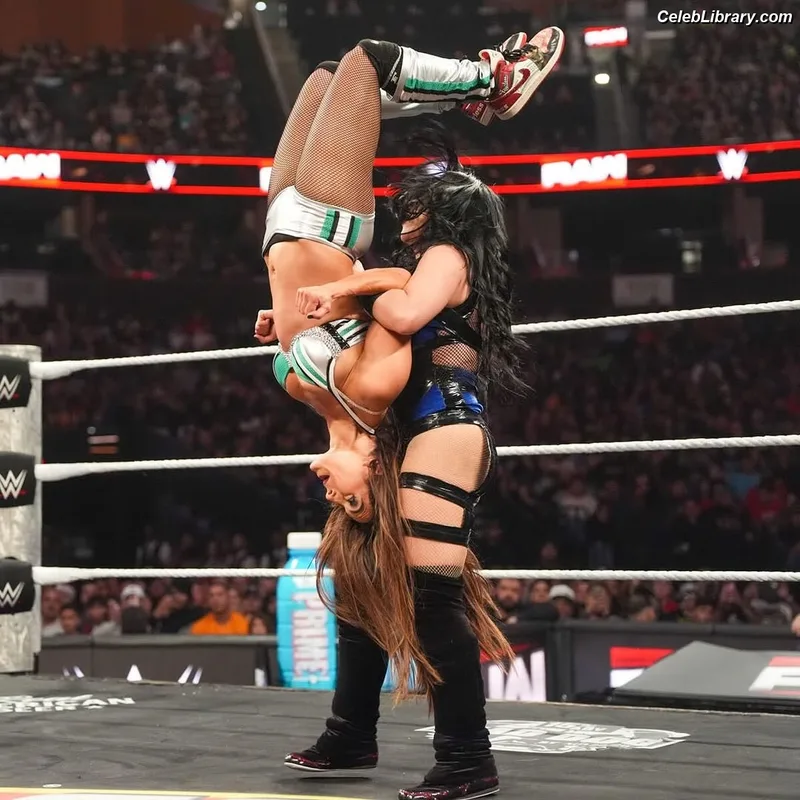 The Bella Twins photo 1 of 1421
