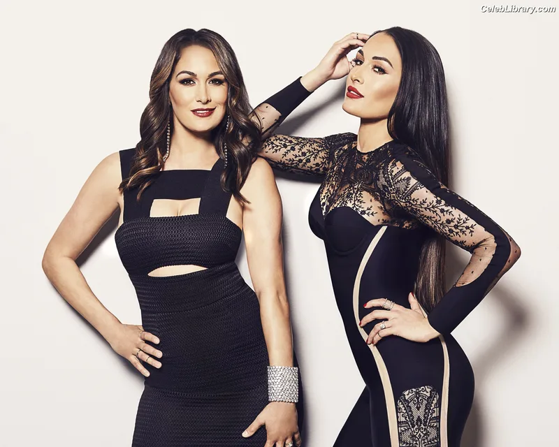 The Bella Twins photo 9 of 1421