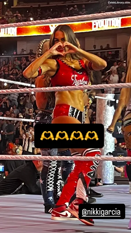The Bella Twins photo 11 of 1421