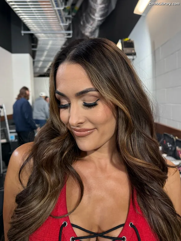 The Bella Twins photo 16 of 1421
