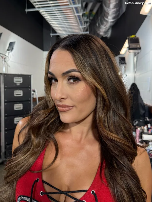 The Bella Twins photo 15 of 1421