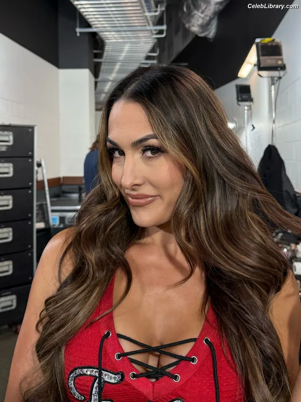 The Bella Twins photo 17 of 1421