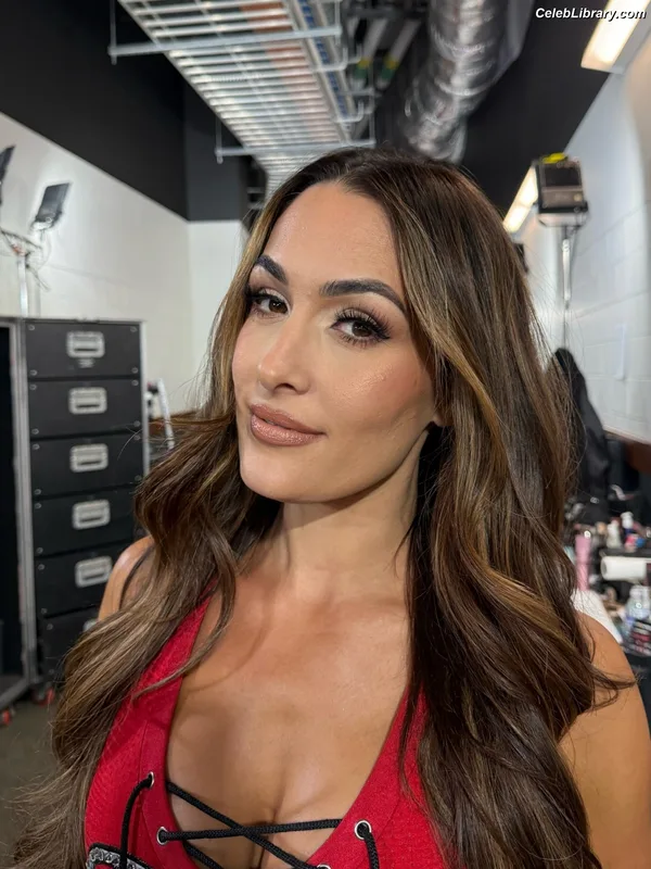 The Bella Twins photo 18 of 1421