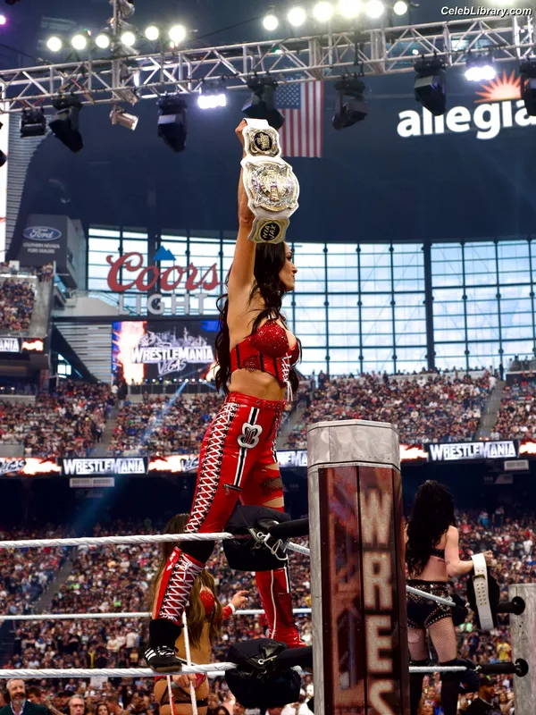 The Bella Twins photo 19 of 1421