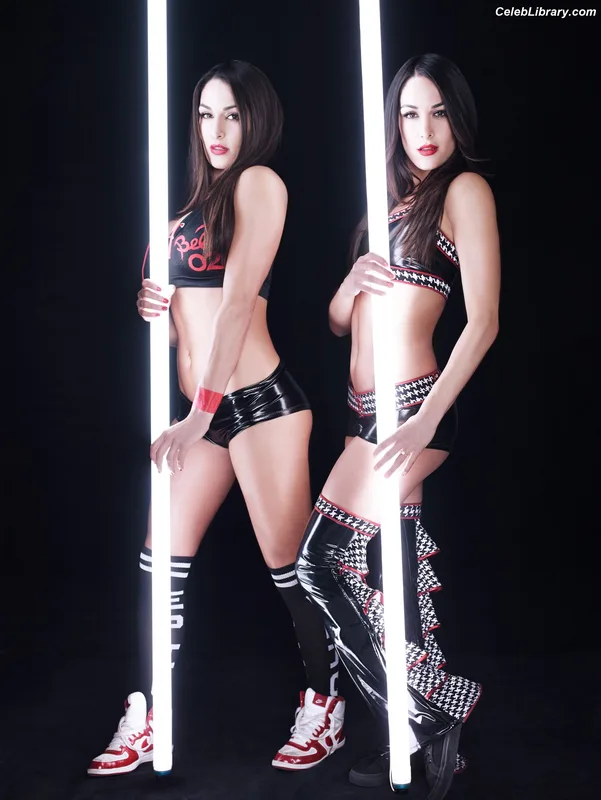 The Bella Twins photo 18 of 1421