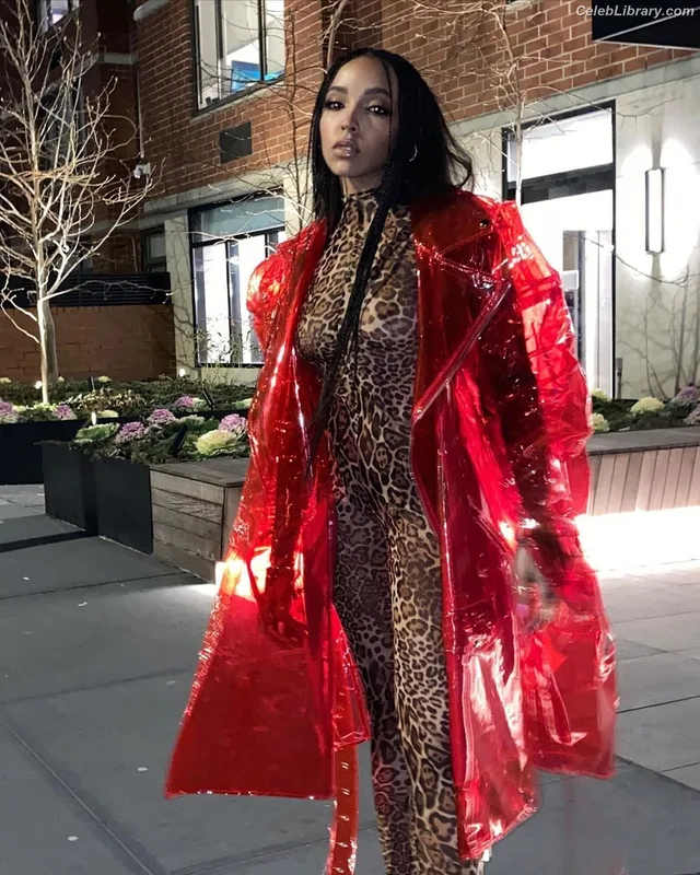 Tinashe photo 2 of 595