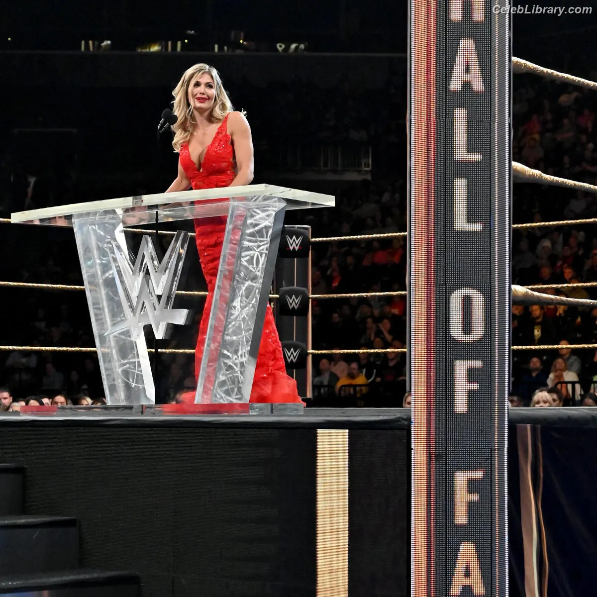 Torrie Wilson photo 17 of 2509
