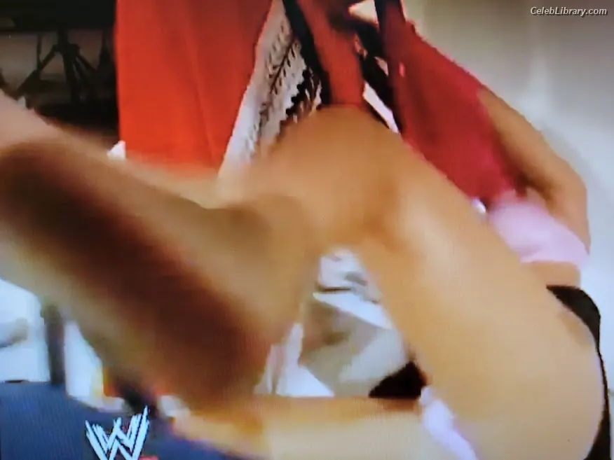 Torrie Wilson photo 22 of 2509
