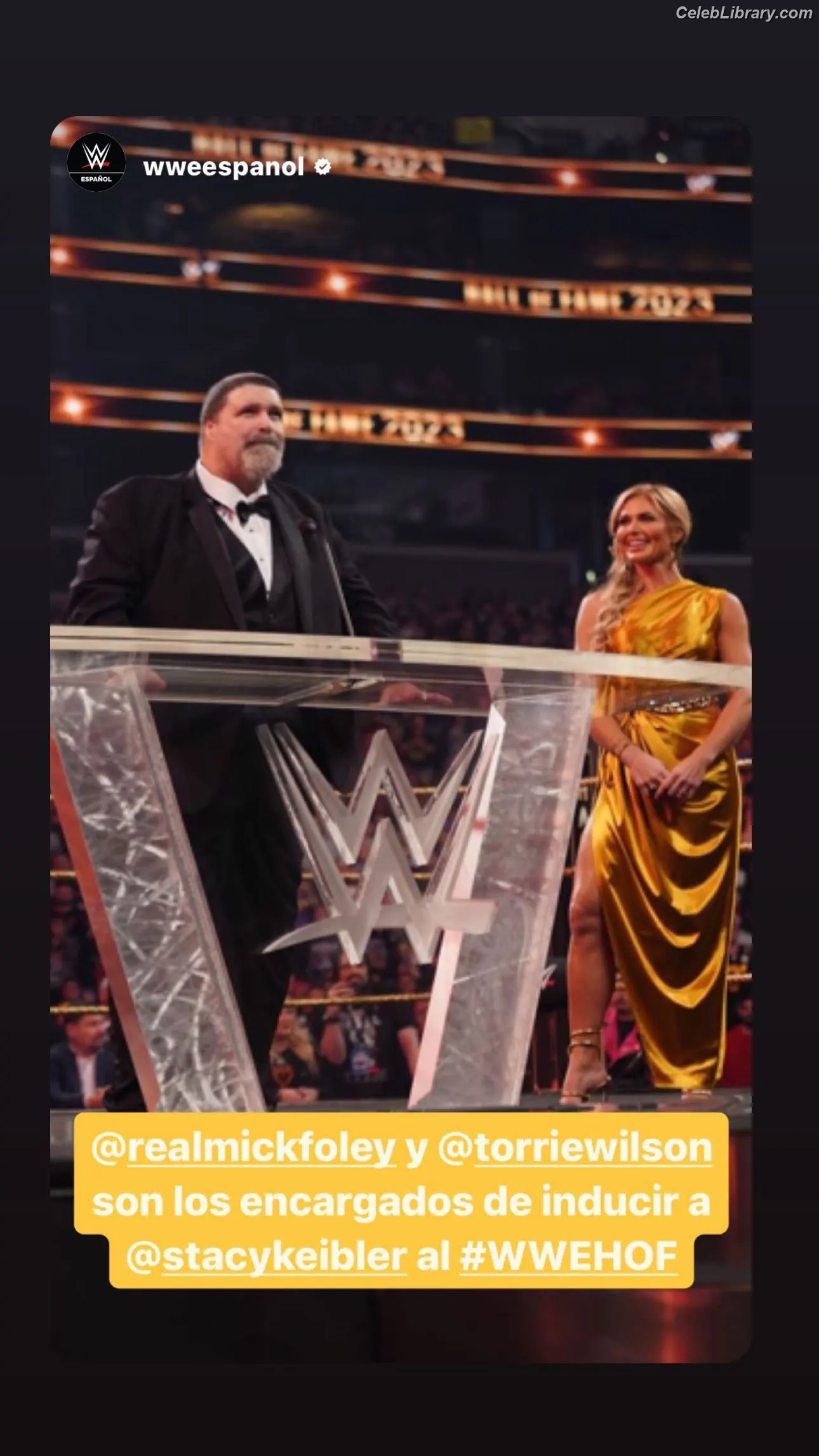 Torrie Wilson photo 11 of 2509