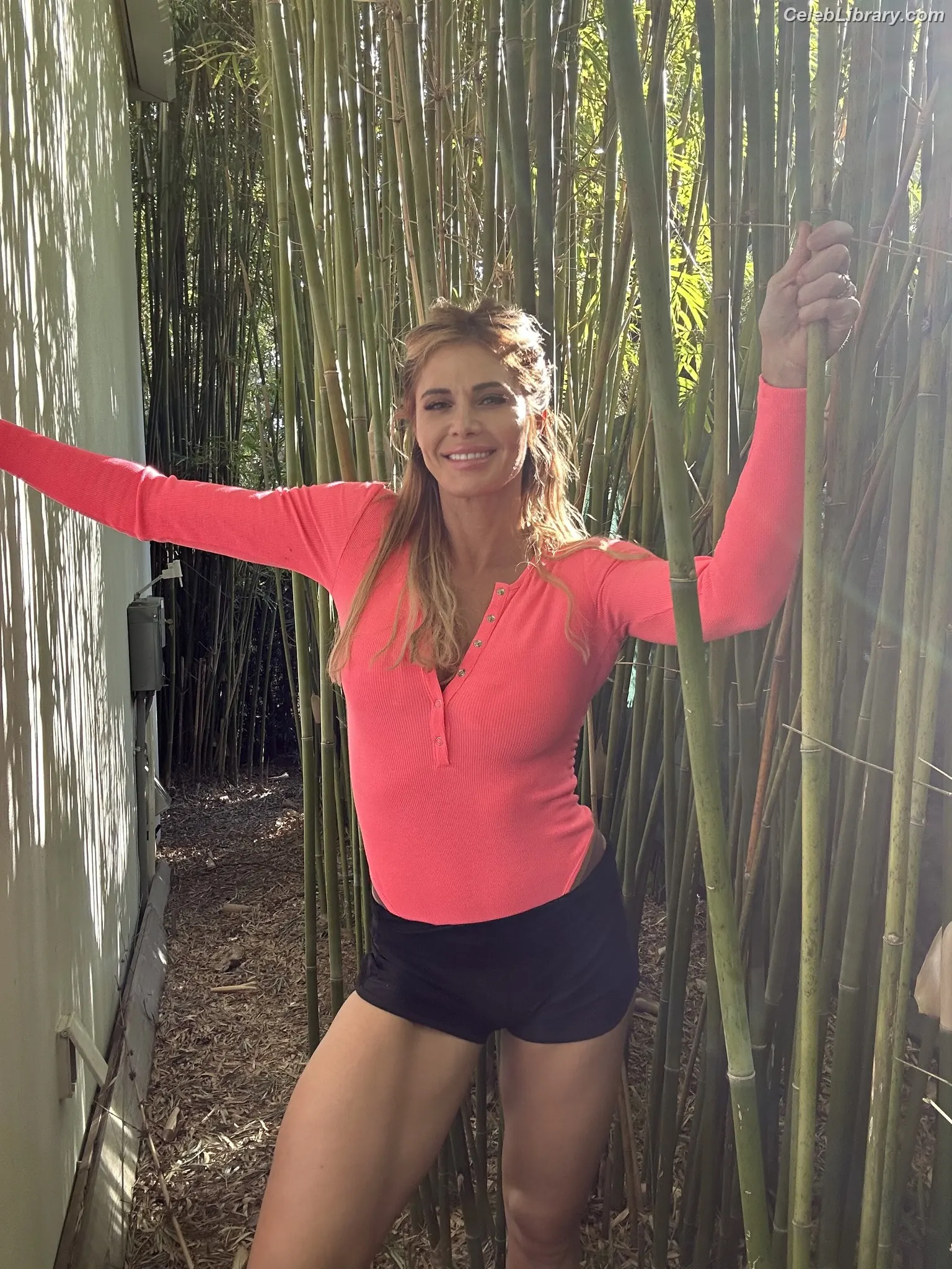 Torrie Wilson photo 23 of 2509