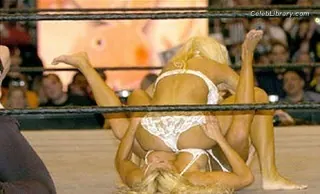 Torrie Wilson photo 22 of 2509