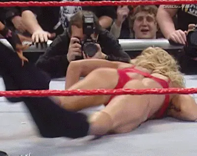 Torrie Wilson photo 1 of 2509