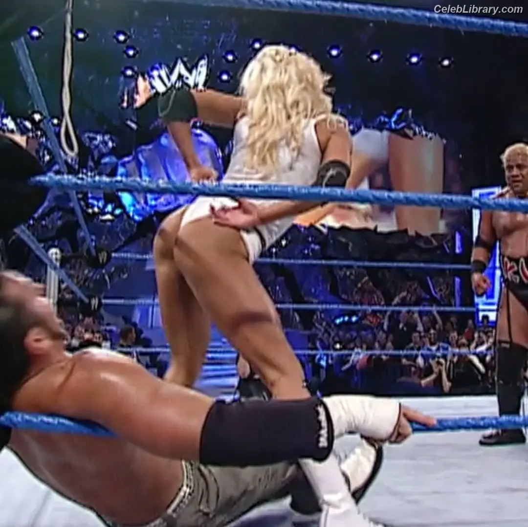 Torrie Wilson photo 19 of 2509