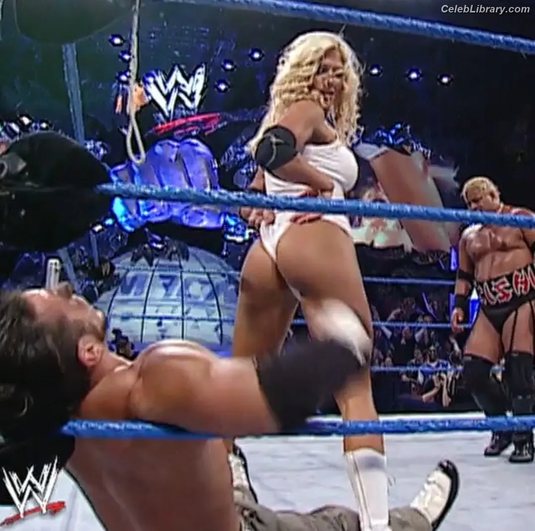 Torrie Wilson photo 23 of 2509