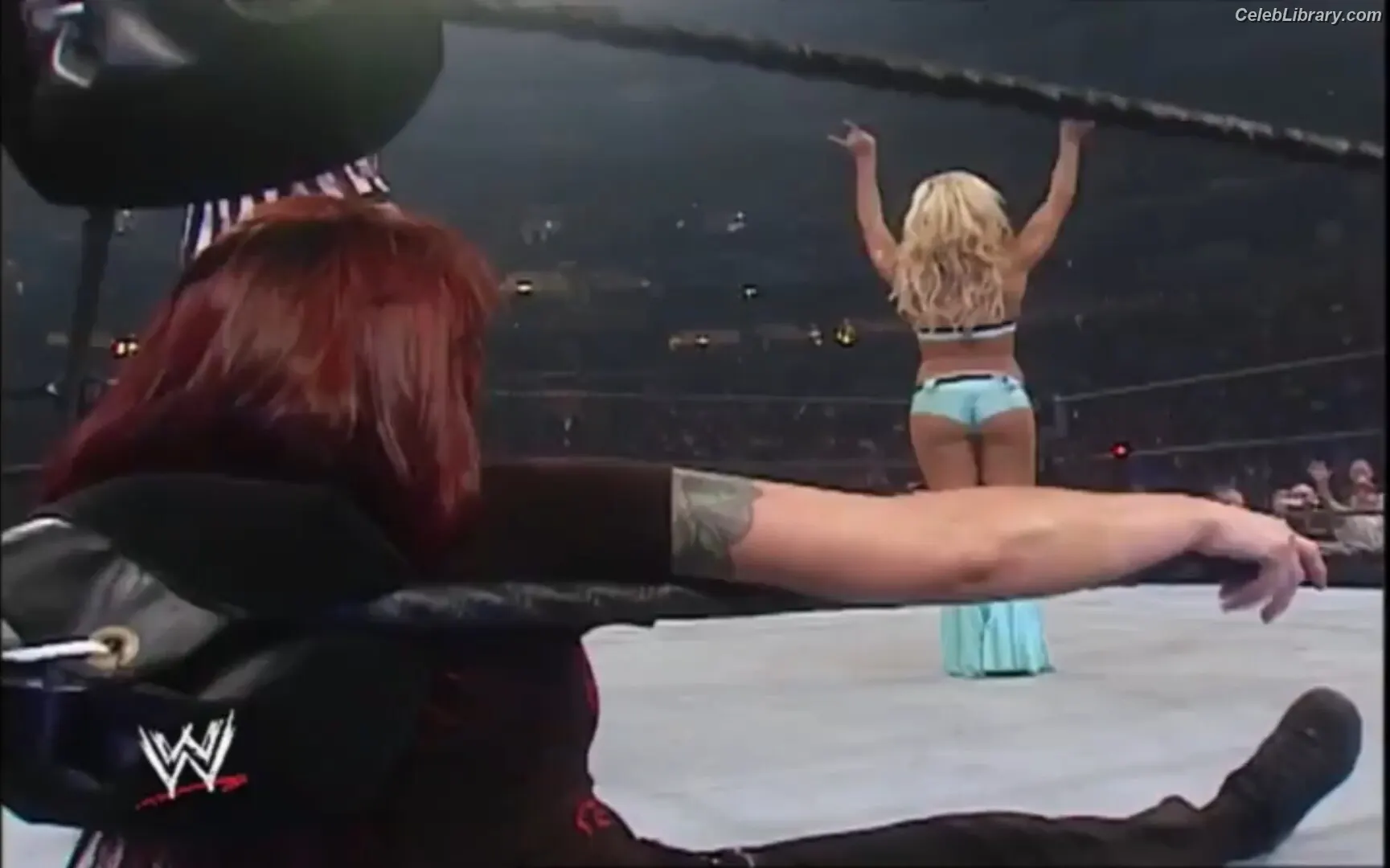 Torrie Wilson photo 2 of 2509