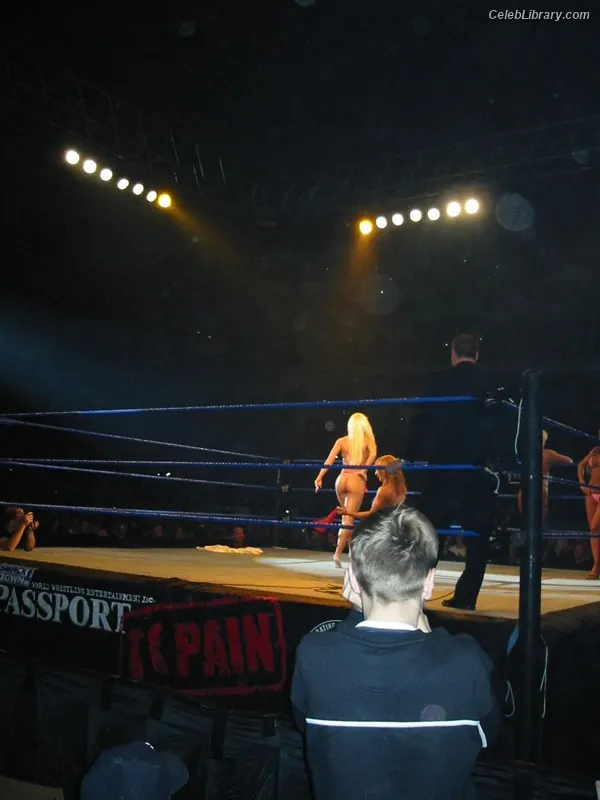 Torrie Wilson photo 13 of 2509