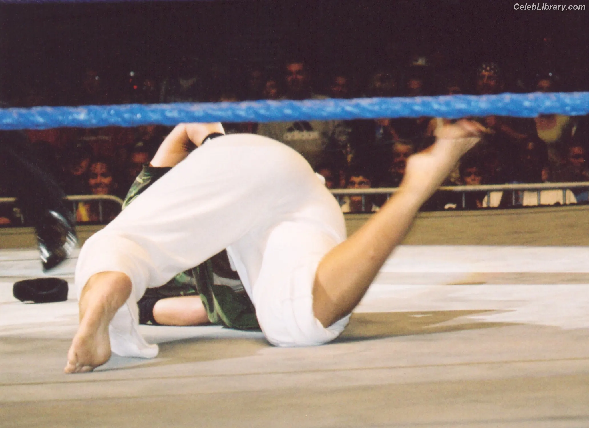 Torrie Wilson photo 16 of 2509