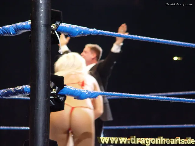 Torrie Wilson photo 12 of 2509