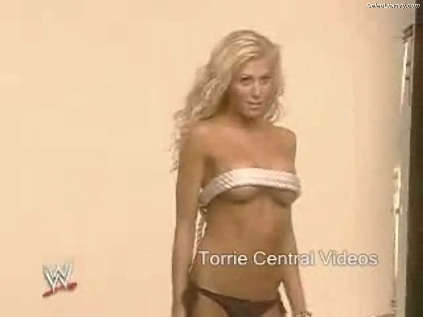 Torrie Wilson photo 5 of 2509