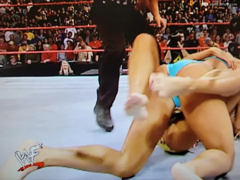 Torrie Wilson photo 5 of 2510