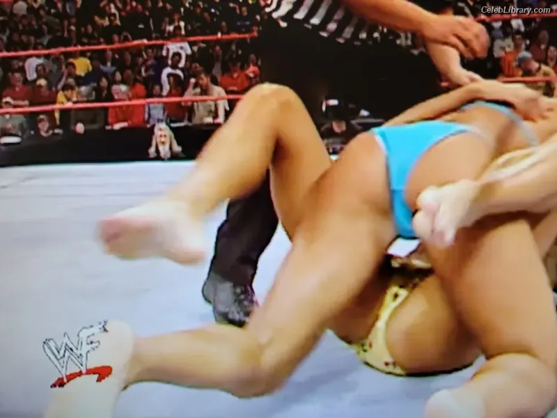 Torrie Wilson photo 6 of 2510