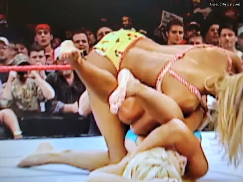 Torrie Wilson photo 17 of 2510