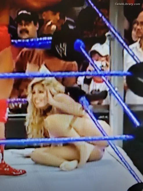 Torrie Wilson photo 9 of 2510