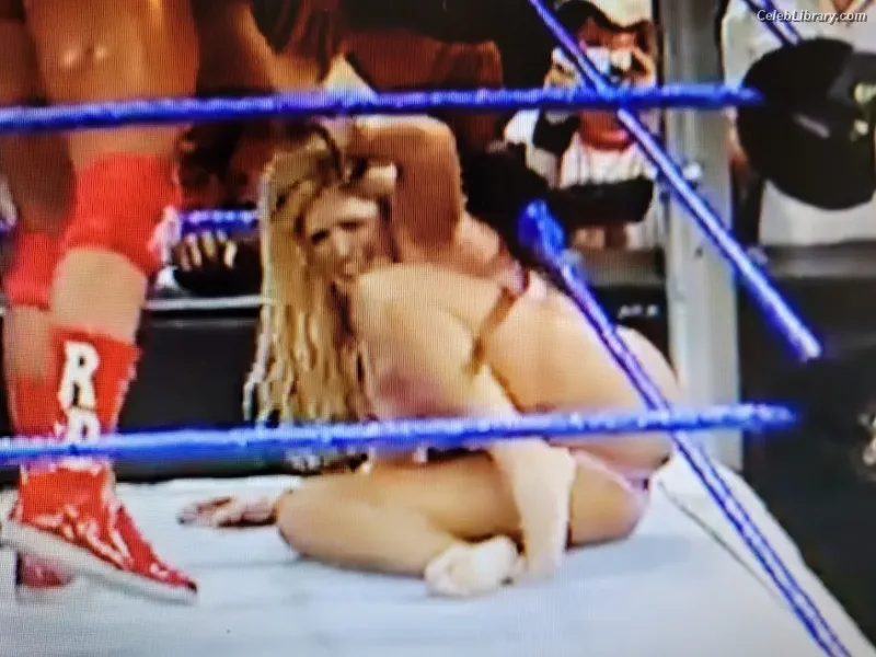 Torrie Wilson photo 12 of 2510