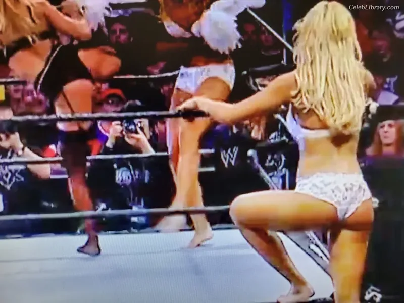 Torrie Wilson photo 22 of 2510