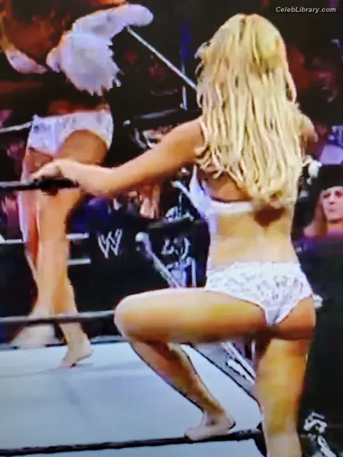 Torrie Wilson photo 23 of 2510