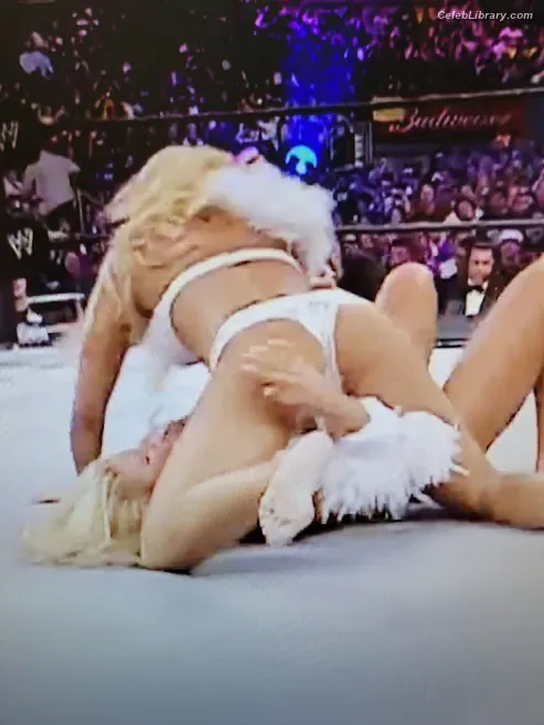 Torrie Wilson photo 2 of 2510