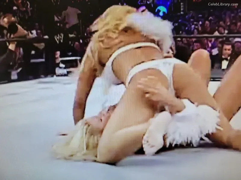 Torrie Wilson photo 3 of 2510