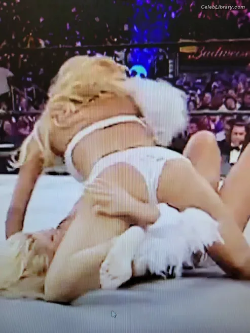 Torrie Wilson photo 6 of 2510