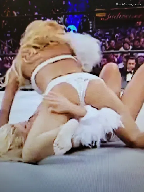 Torrie Wilson photo 10 of 2510