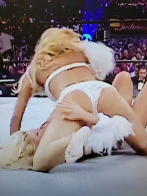 Torrie Wilson photo 11 of 2510
