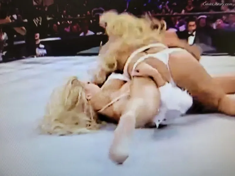 Torrie Wilson photo 14 of 2510