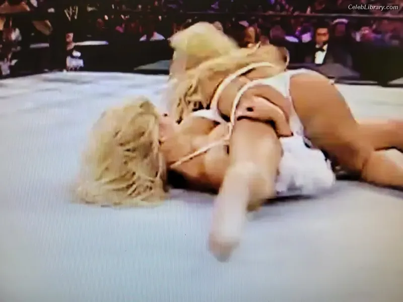 Torrie Wilson photo 17 of 2510