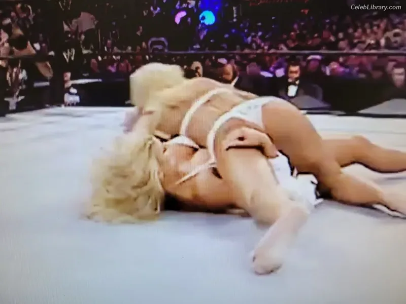 Torrie Wilson photo 22 of 2510