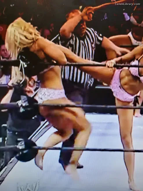 Torrie Wilson photo 2 of 2510