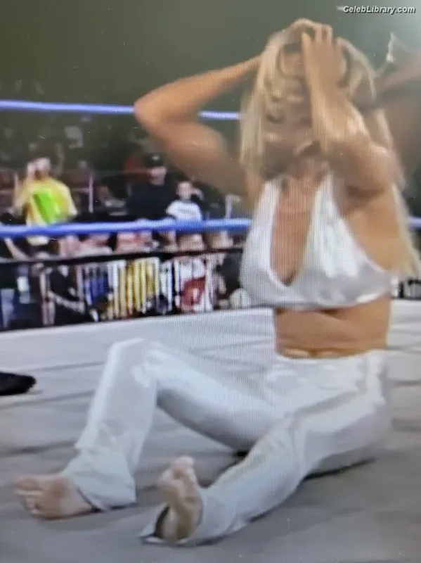 Torrie Wilson photo 10 of 2510