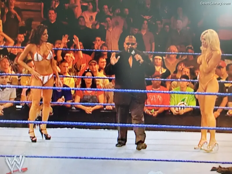 Torrie Wilson photo 12 of 2510