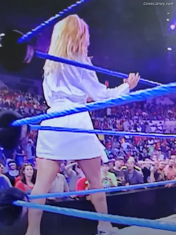 Torrie Wilson photo 13 of 2510