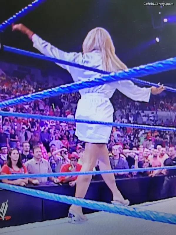 Torrie Wilson photo 14 of 2510